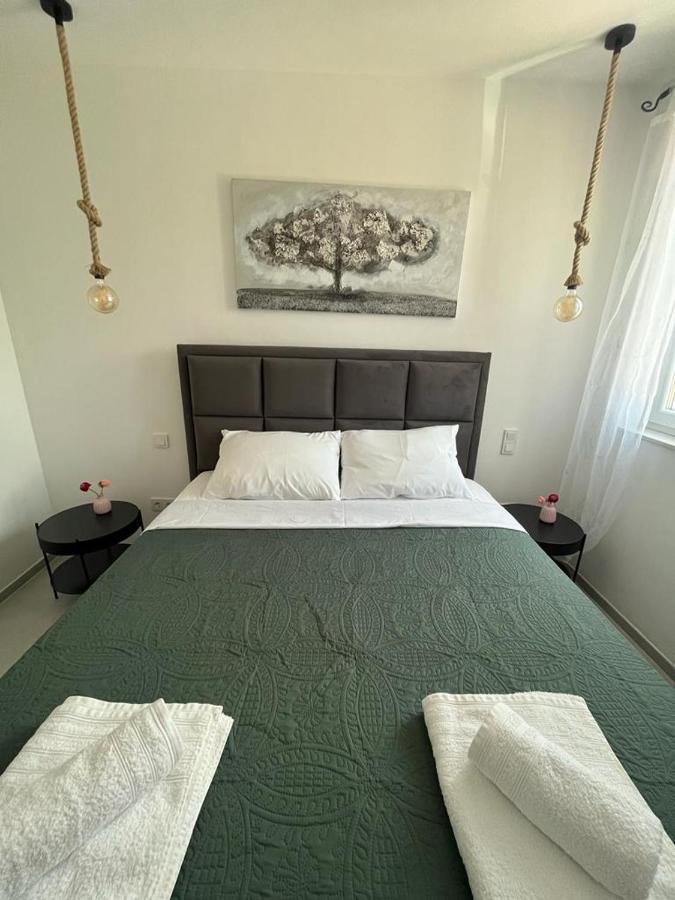 Haus Dalmatia With Heated Pool Lejlighed Bibinje Eksteriør billede